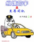 纵横荒宇之至尊司机章节列表