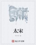 太宋章节列表