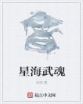 星海武魂章节列表