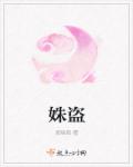 姝盗章节列表