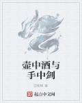 壶中酒与手中剑章节列表