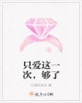 只爱这一次，够了章节列表