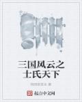 三国风云之士氏天下章节列表