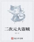 二次元大盗贼章节列表