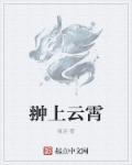 翀上云霄章节列表
