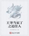 王爷当家丁之追佳人章节列表