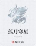 孤月寒星章节列表