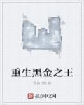 重生黑金之王章节列表