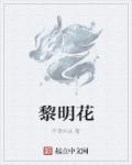 黎明花章节列表