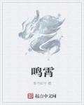 鸣霄章节列表
