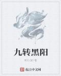 九转黑阳章节列表
