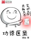 功德医圣章节列表