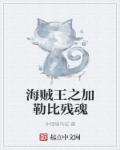 海贼王之加勒比残魂章节列表