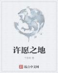 许愿之地章节列表