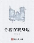 你曾在我身边章节列表