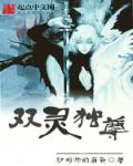 双灵独尊章节列表