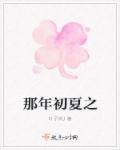 那年初夏之章节列表