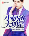小奶爸大明星章节列表
