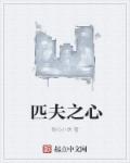 匹夫之心章节列表