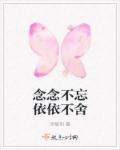 念念不忘依依不舍章节列表