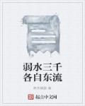 弱水三千各自东流章节列表