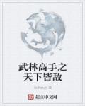 武林高手之天下皆敌章节列表