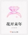 花开末年章节列表
