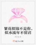 繁花似锦不是你，似水流年不留君章节列表