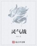 灵气战章节列表