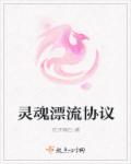 灵魂漂流协议章节列表