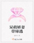 呆萌娇妻带球逃章节列表