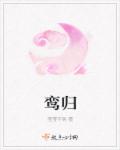 鸾归章节列表