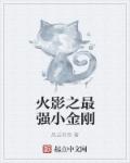 火影之最强小金刚章节列表