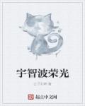 宇智波荣光章节列表