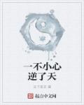 一不小心逆了天章节列表