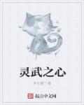 灵武之心章节列表