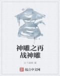 神雕之再战神雕章节列表