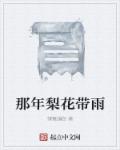 那年梨花带雨章节列表