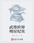 武尊世界明星纪实章节列表