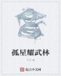 孤星耀武林章节列表