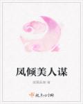 凤倾美人谋章节列表
