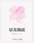 晨光微露章节列表