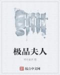极品夫人章节列表
