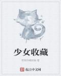 少女收藏章节列表