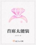 首席太能装章节列表
