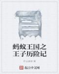蚂蚁王国之王子历险记章节列表