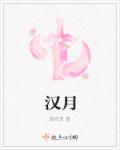 汉月章节列表