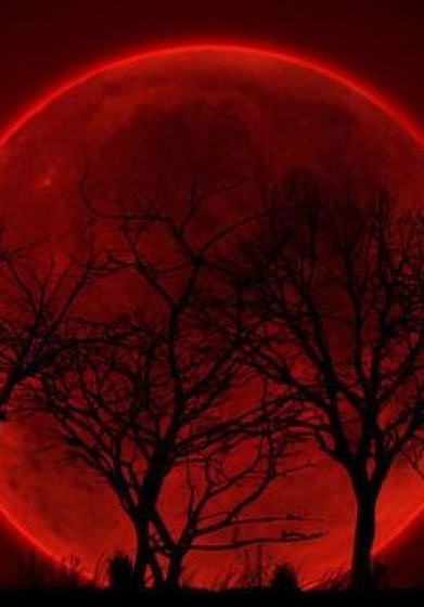 最后的血月章节列表