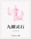 九曜灵石章节列表