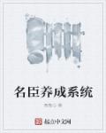 名臣养成系统章节列表